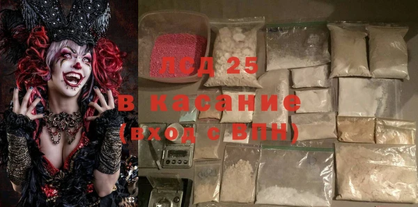 хмурый Верея