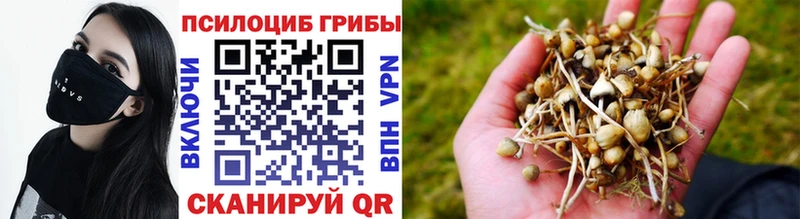 это наркотические препараты  blacksprut ТОР  Кизилюрт  Псилоцибиновые грибы Magic Shrooms 
