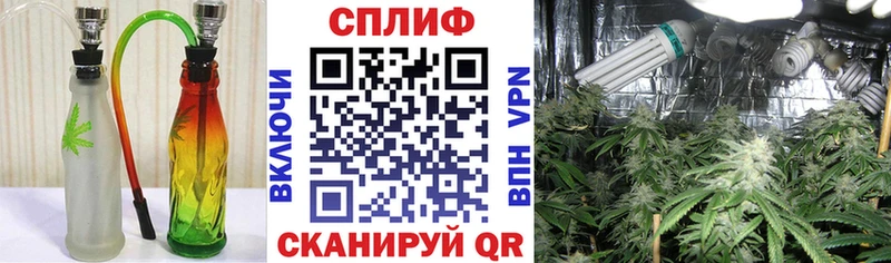 Конопля OG Kush  OMG   Кизилюрт 